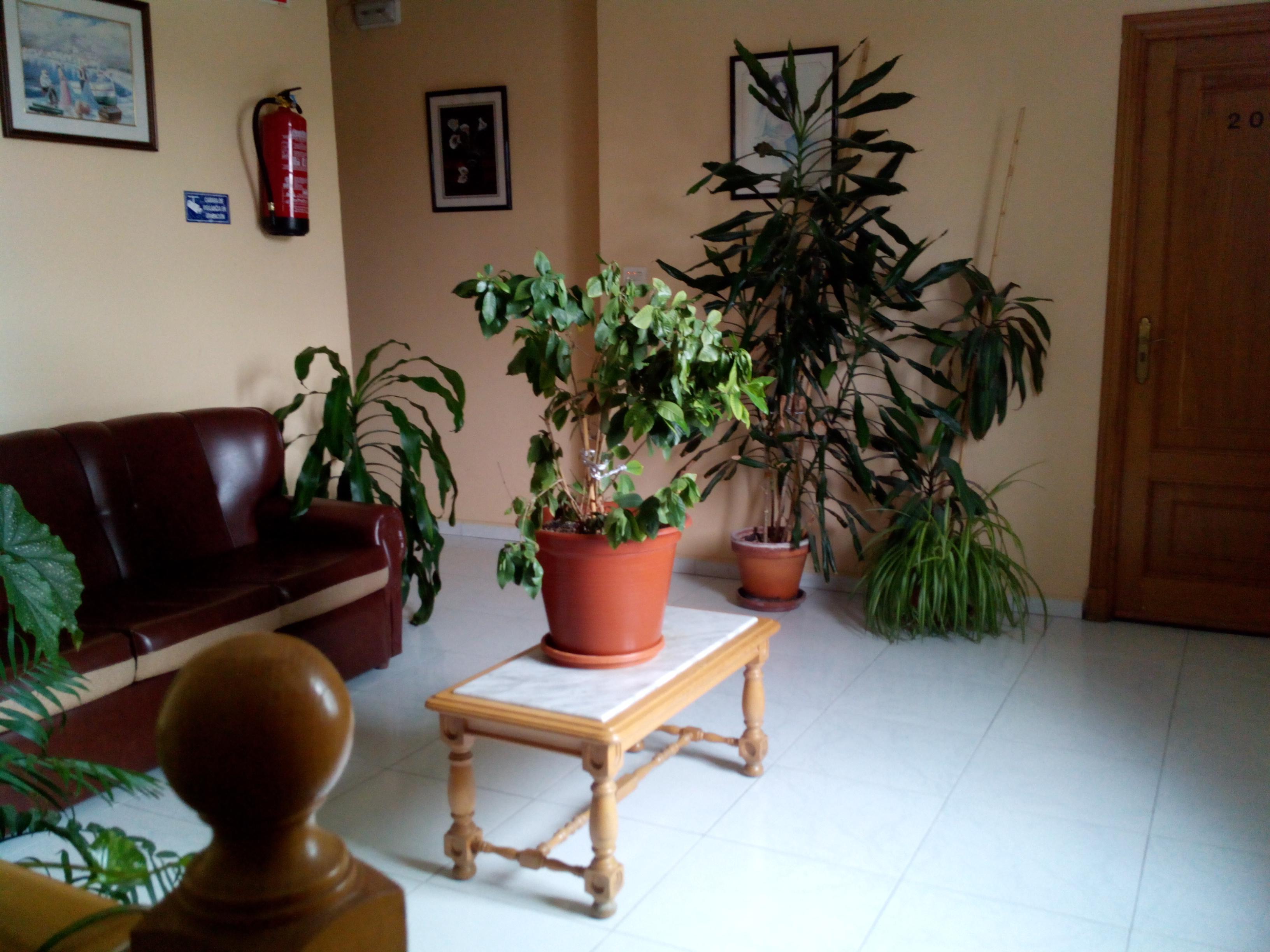 Hostal Sequeiros San Ciprian de Vinas Exterior photo